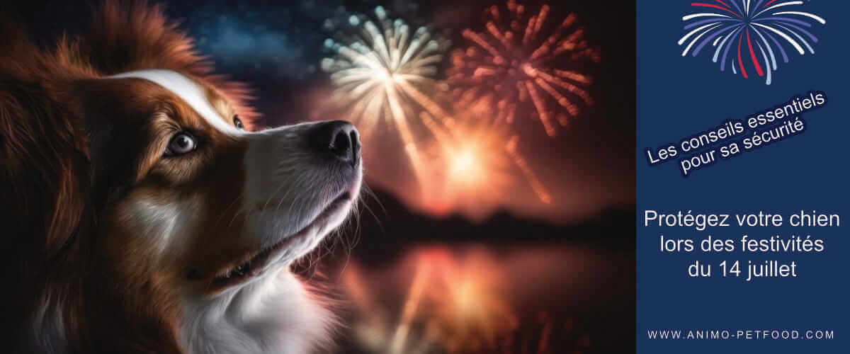 protegez-votre-chien-pendentif-les-festivites-du-14-juillet